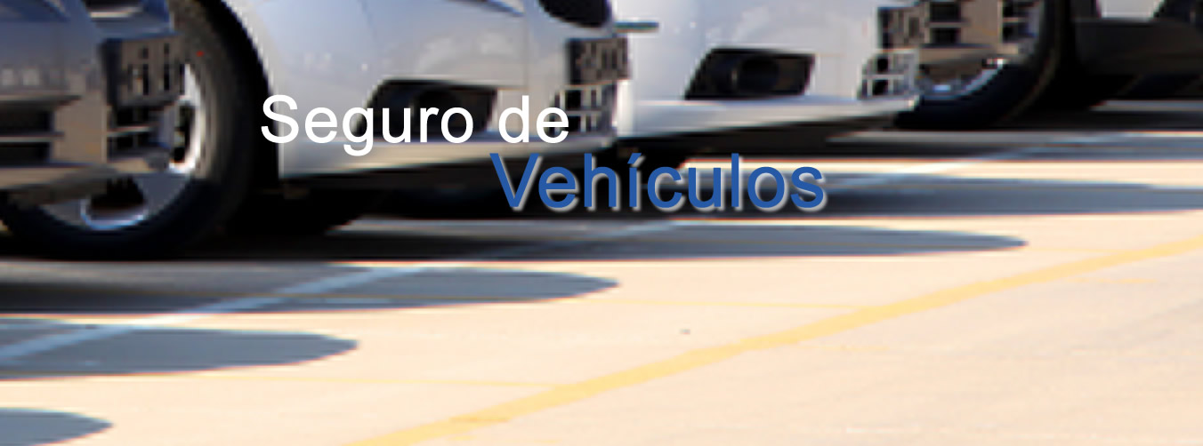 SeguroVehiculos